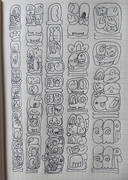 nasin N - 2025-05-14